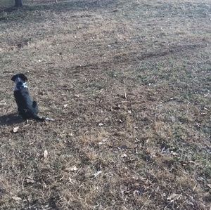 Meet your Posher, Laken